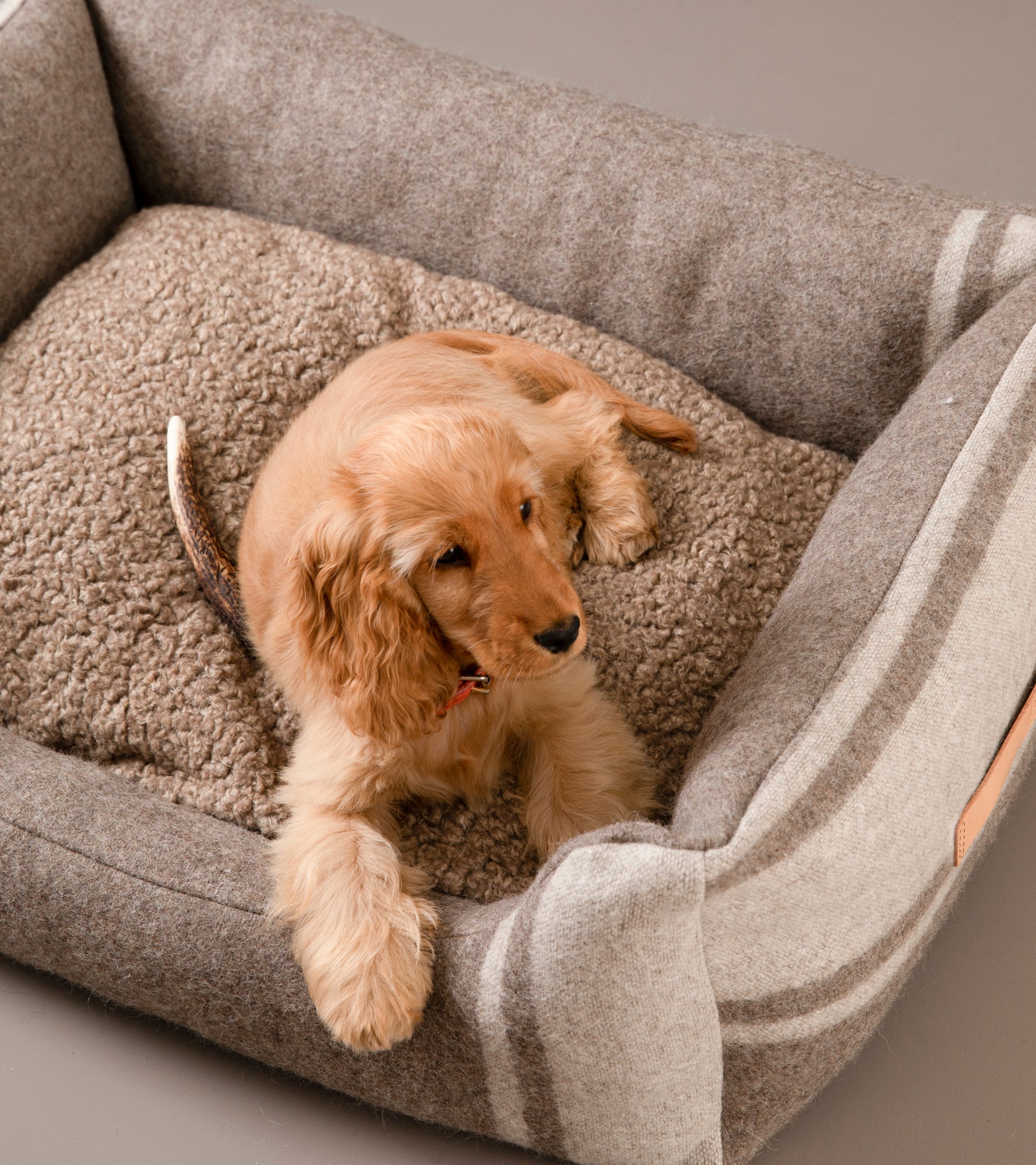 luxury-dog-bed-recycled-wool-3_d9b644ea-aa39-423d-bbb6-57474b9b66de.jpg