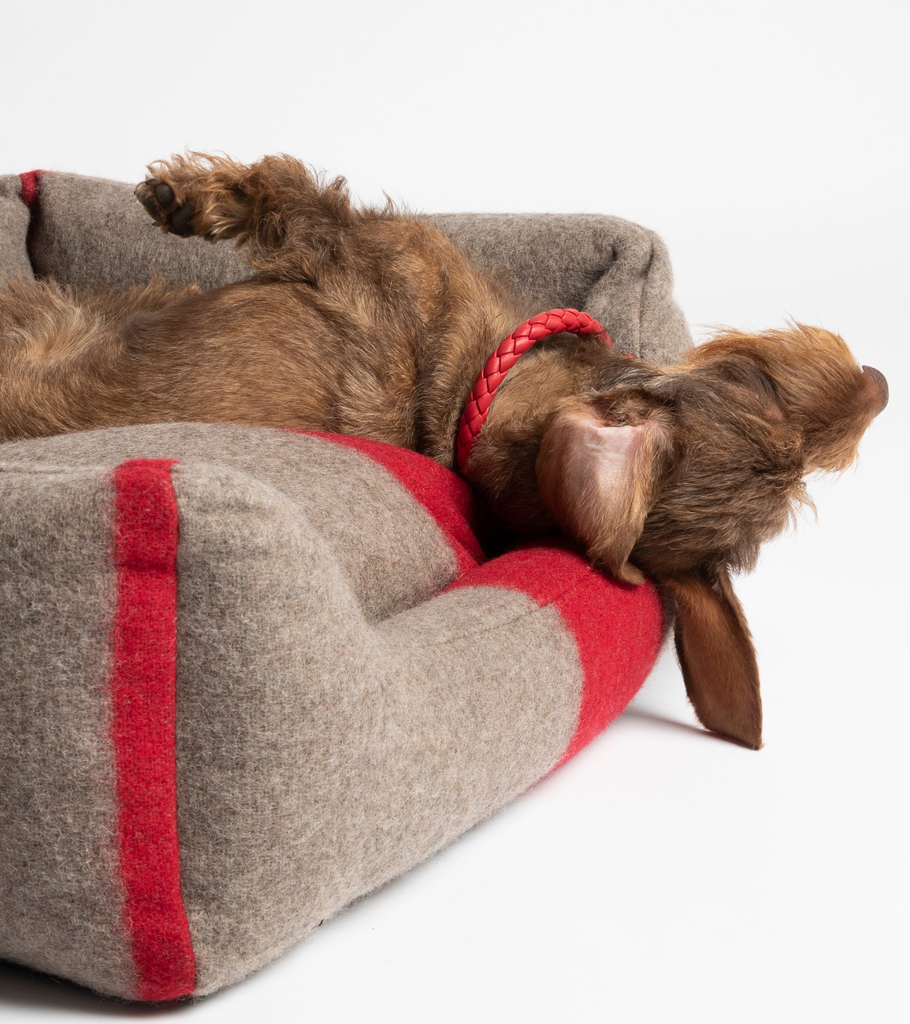 luxury-dog-bed-recycled-wool-red-cozy.jpg