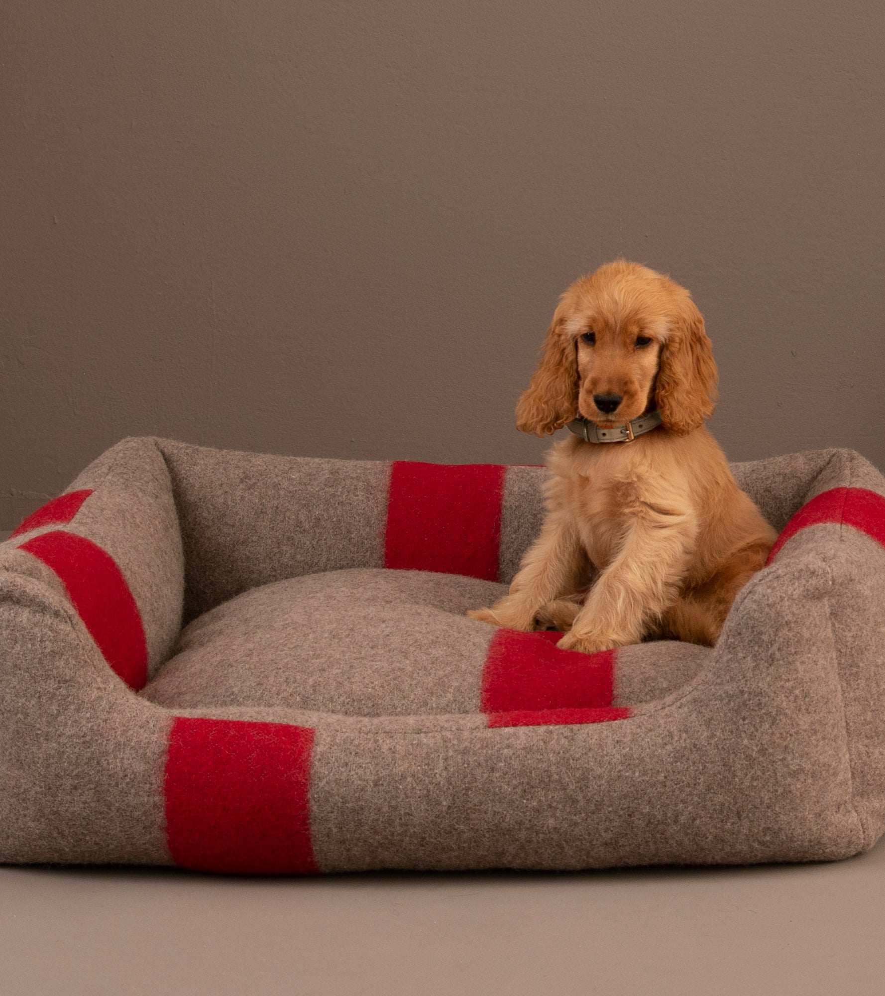 luxury-dog-bed-recycled-wool_3e547a2f-e9cc-49fe-abc8-4d40dad749ee.jpg