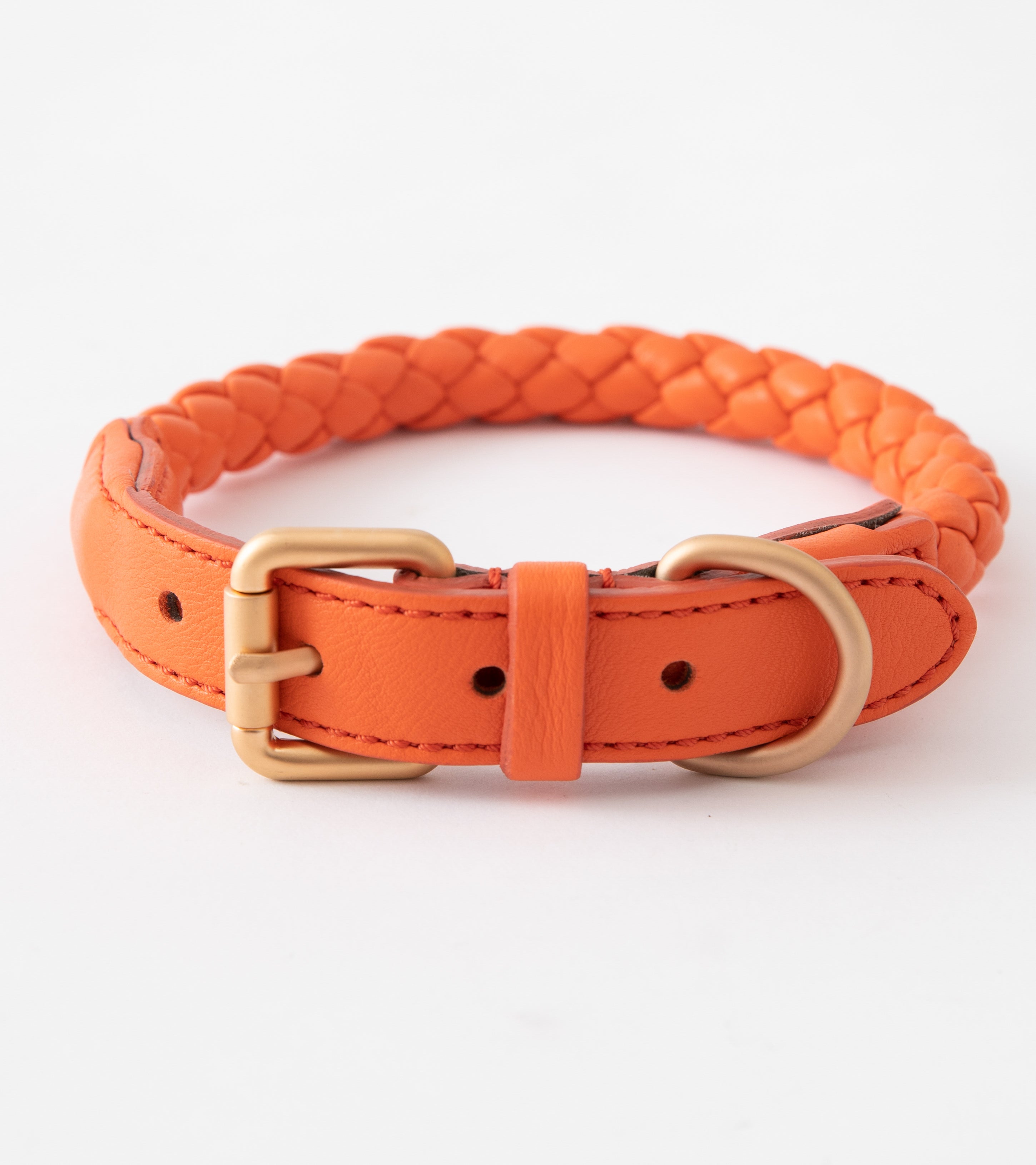 orange-dog-collar-elegant.jpg