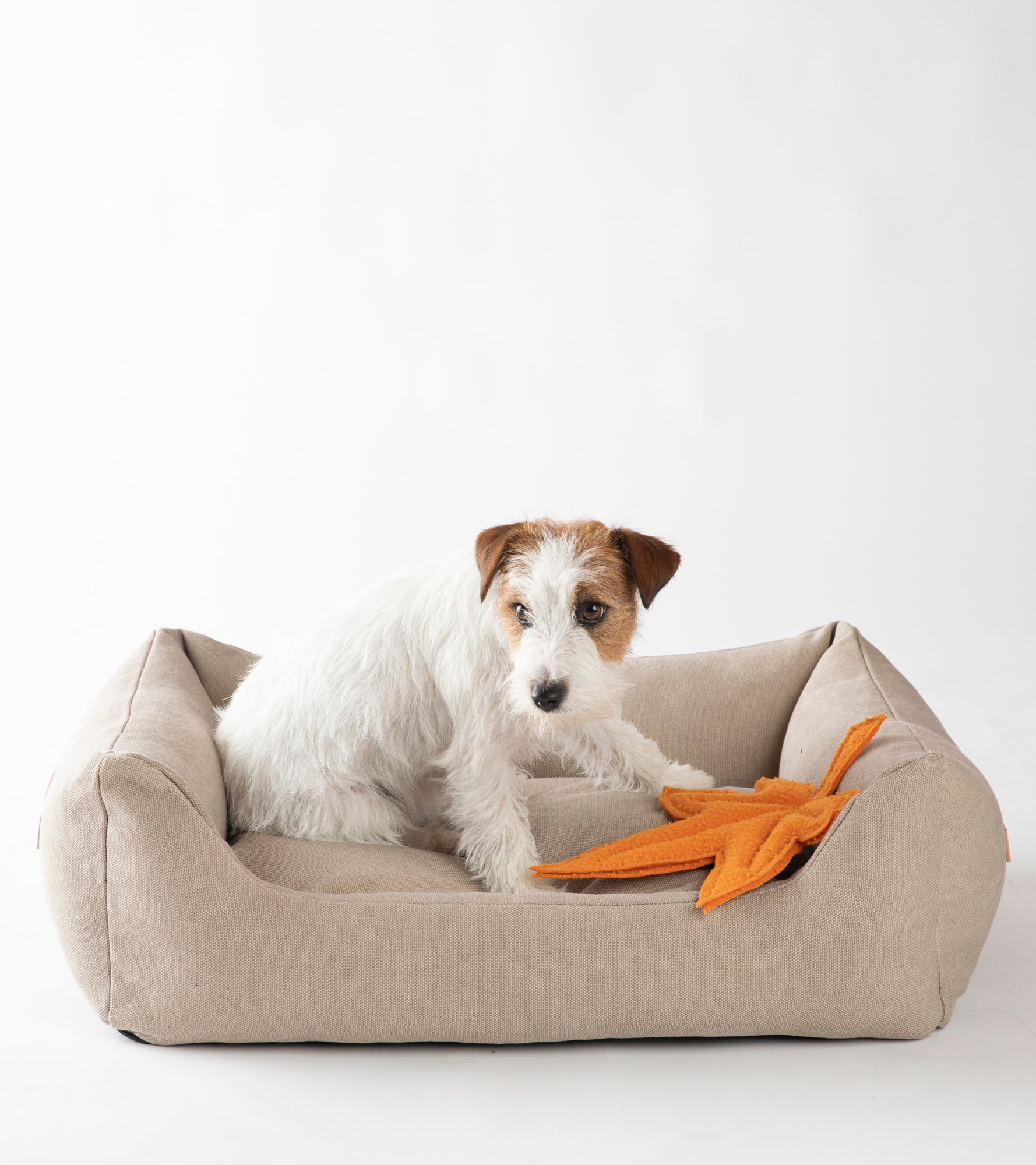 organic-cotton-dog-bed-elegant.jpg