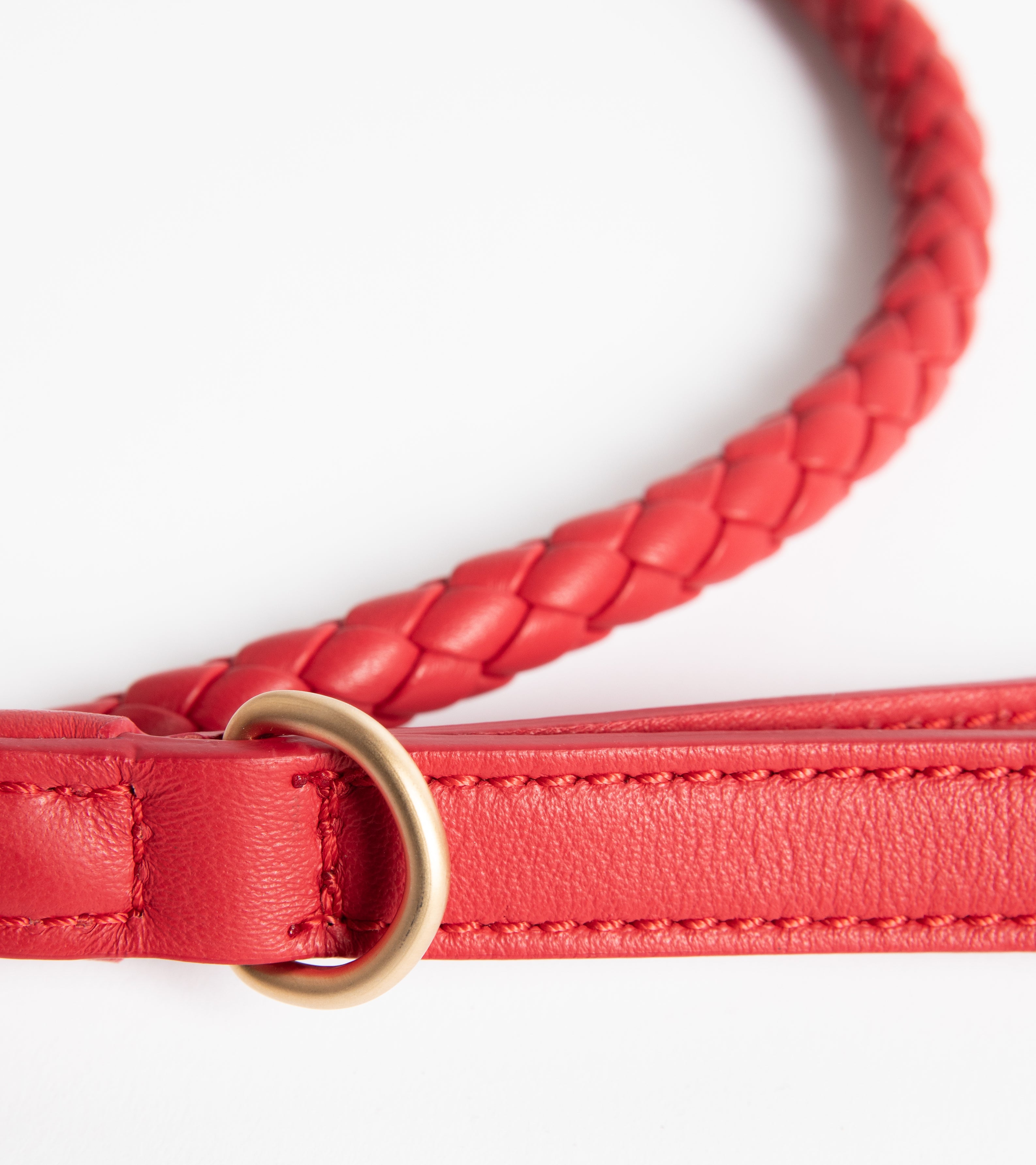 red-leash-dog.jpg