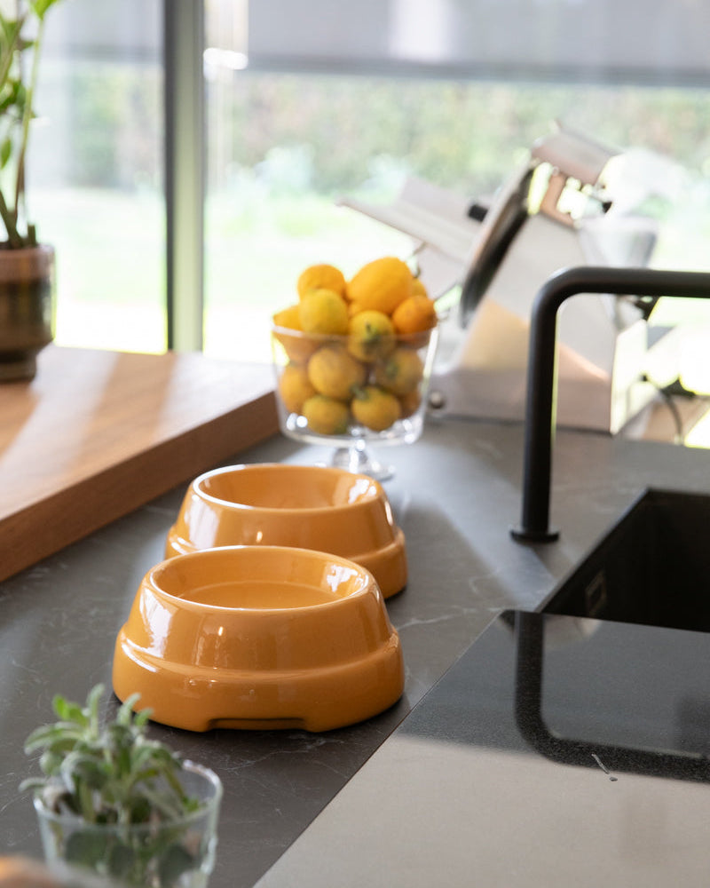 sebastiao-bowl-home