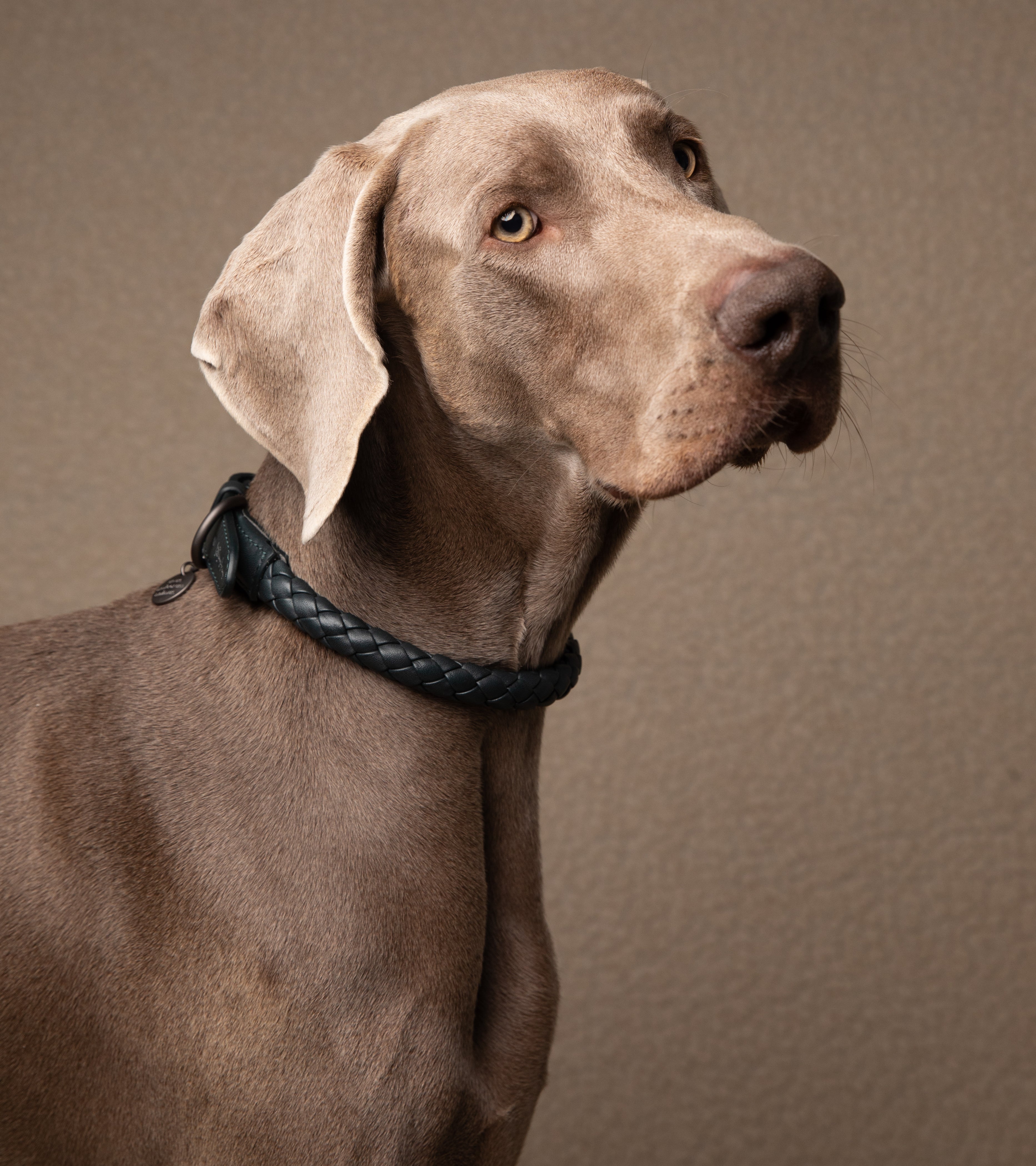 Ferdinando - Dark Hardware Braided Leather Collars