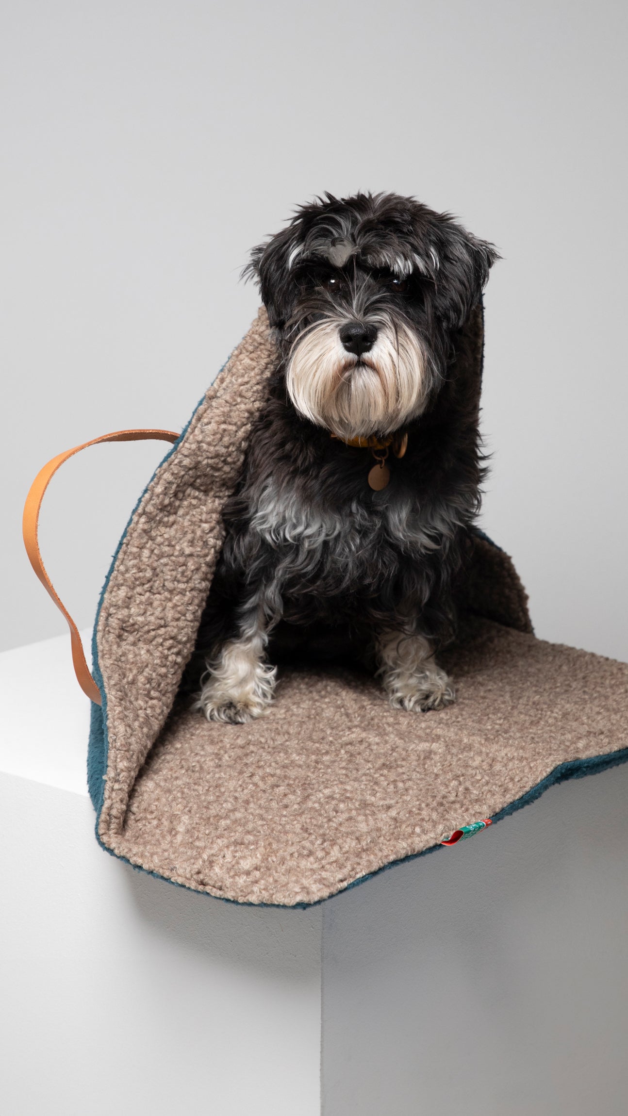 steve-dog-travel-mat-casentino-wool-19_0f5747fa-449f-4f95-8513-c21ea2855195.jpg