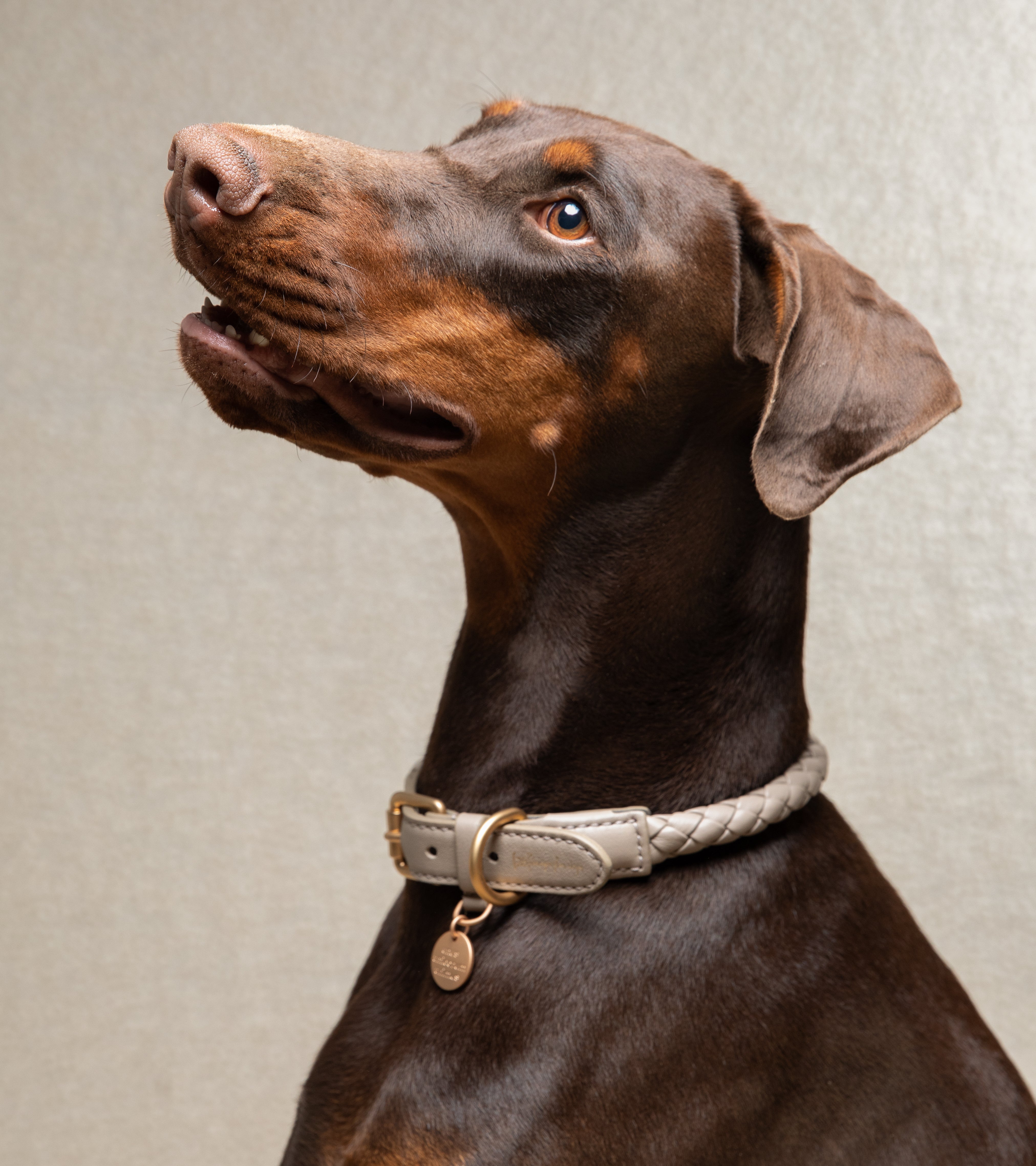 cinch-it® - The Revolutionary Dog Collar™ from Petnique®