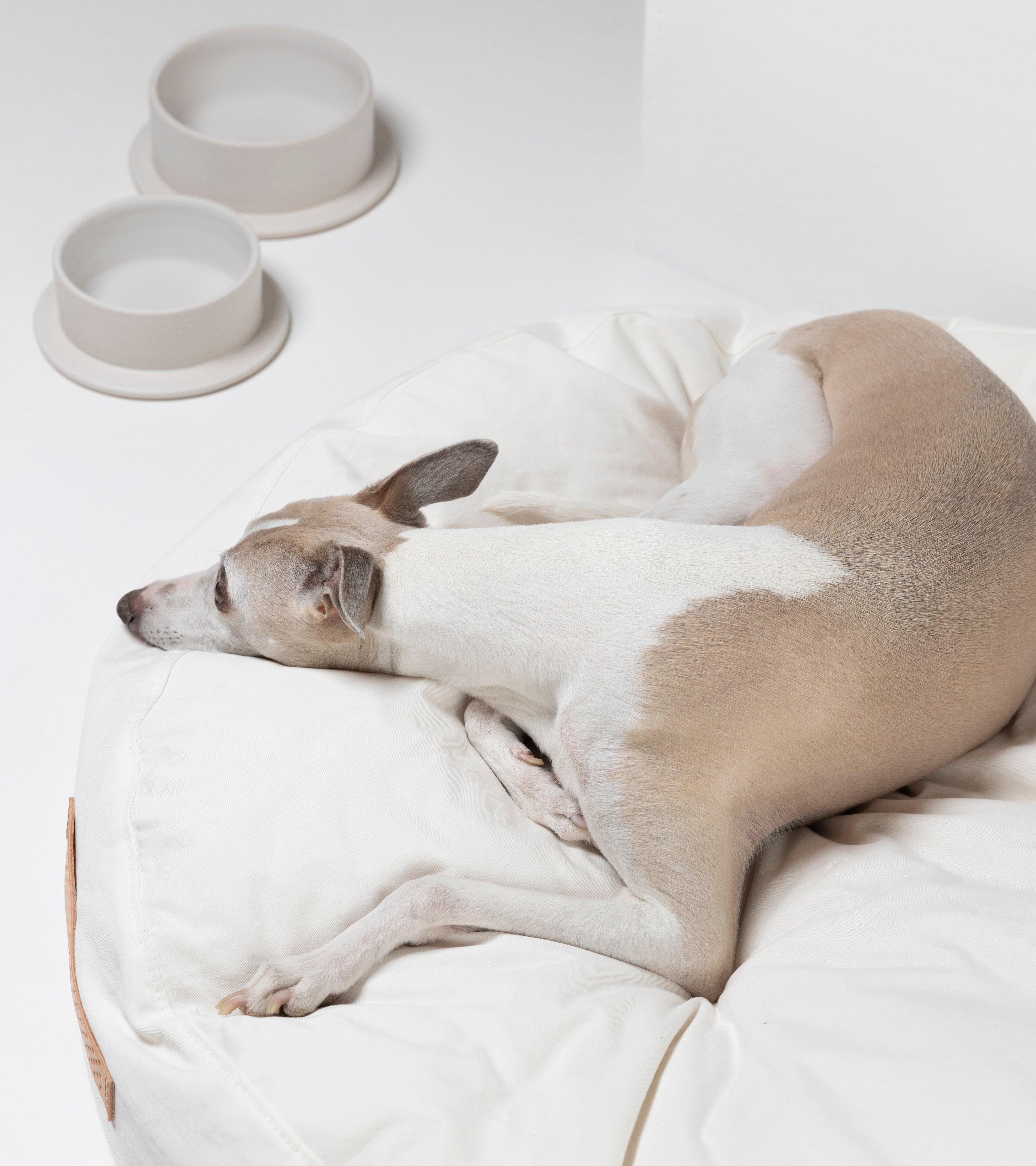 white-dog-cushion-3_f67ed054-2198-4211-96c2-d2e58e9789d3.jpg