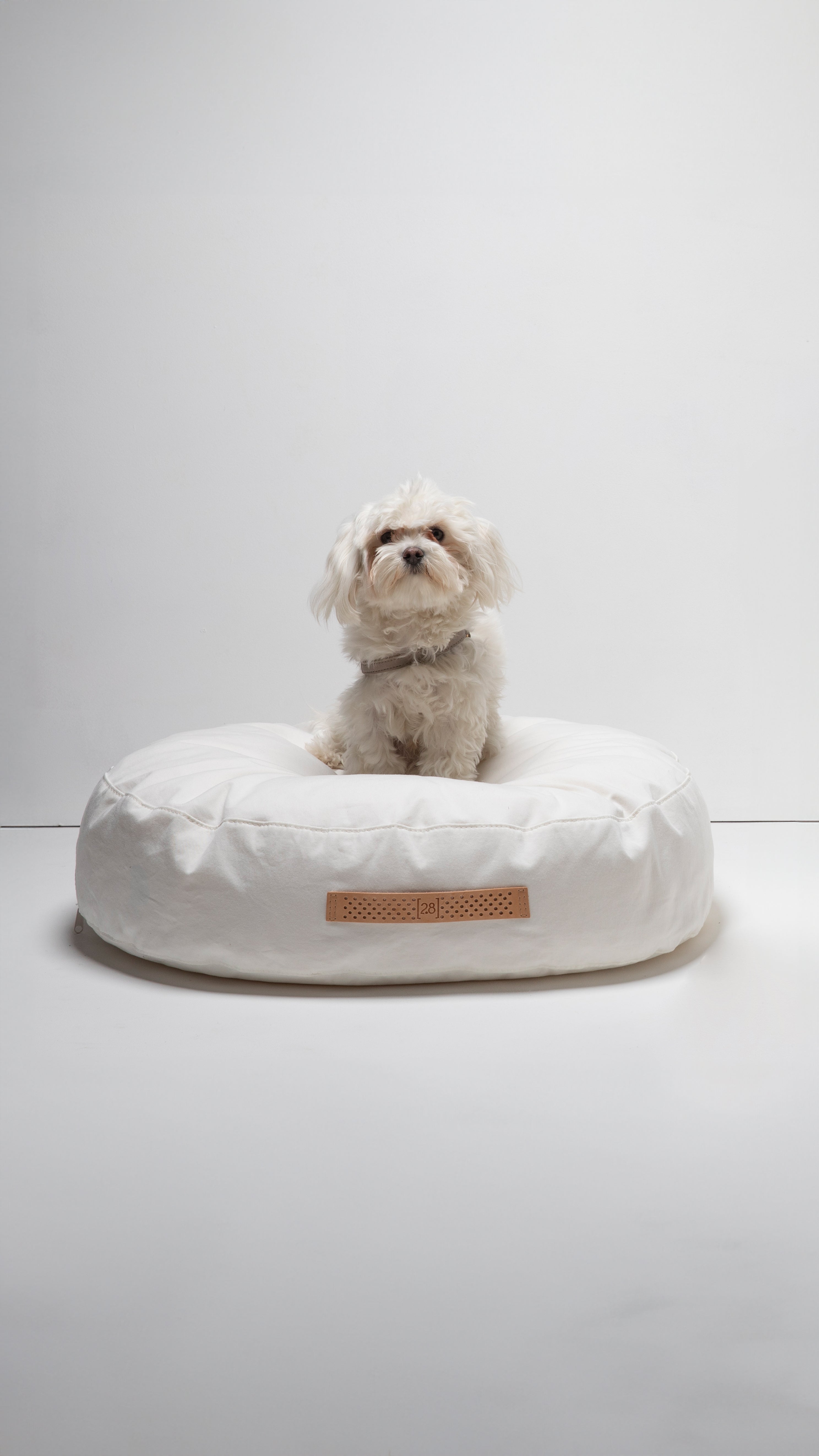 white-dog-cushion_9c6b1964-461c-4c30-aa6c-2f7ad0e4ea71.jpg