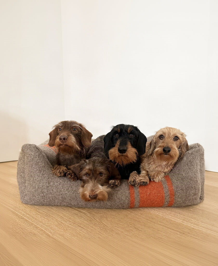 Henri - Lit pour Chien en Laine Recyclée