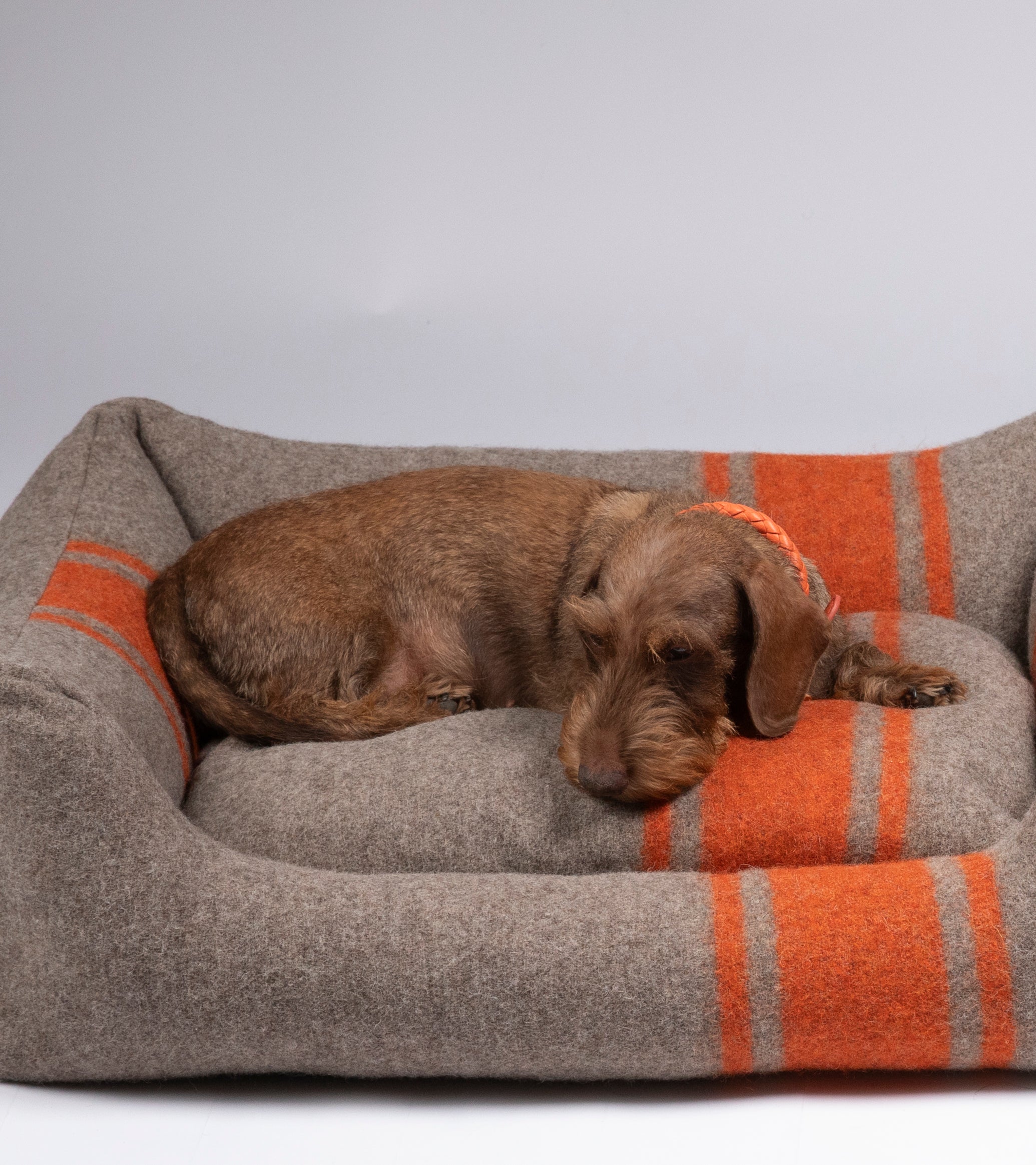 wool-dog-bed-orange-cozyjpg.jpg