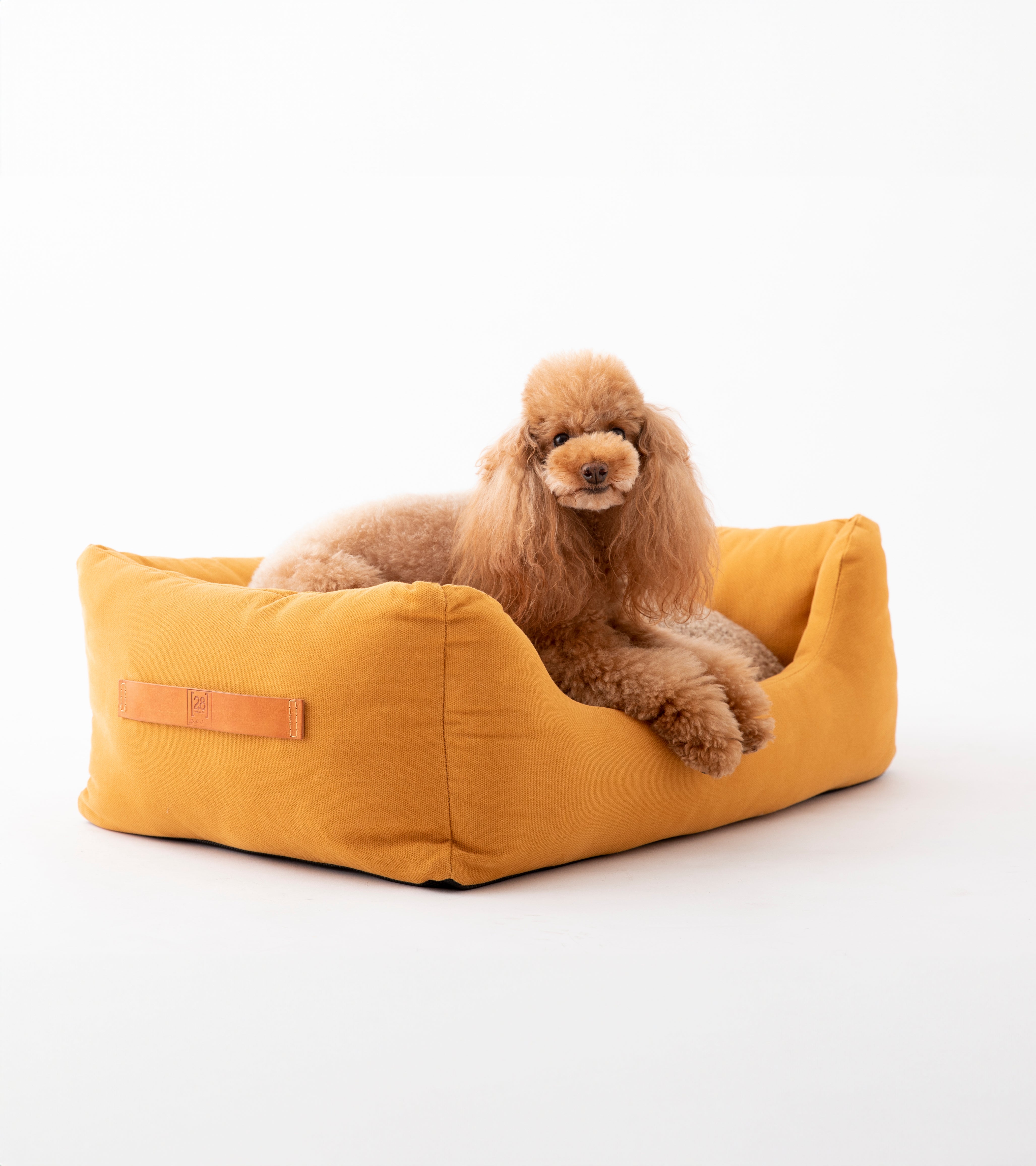 yellow-dog-bed.jpg