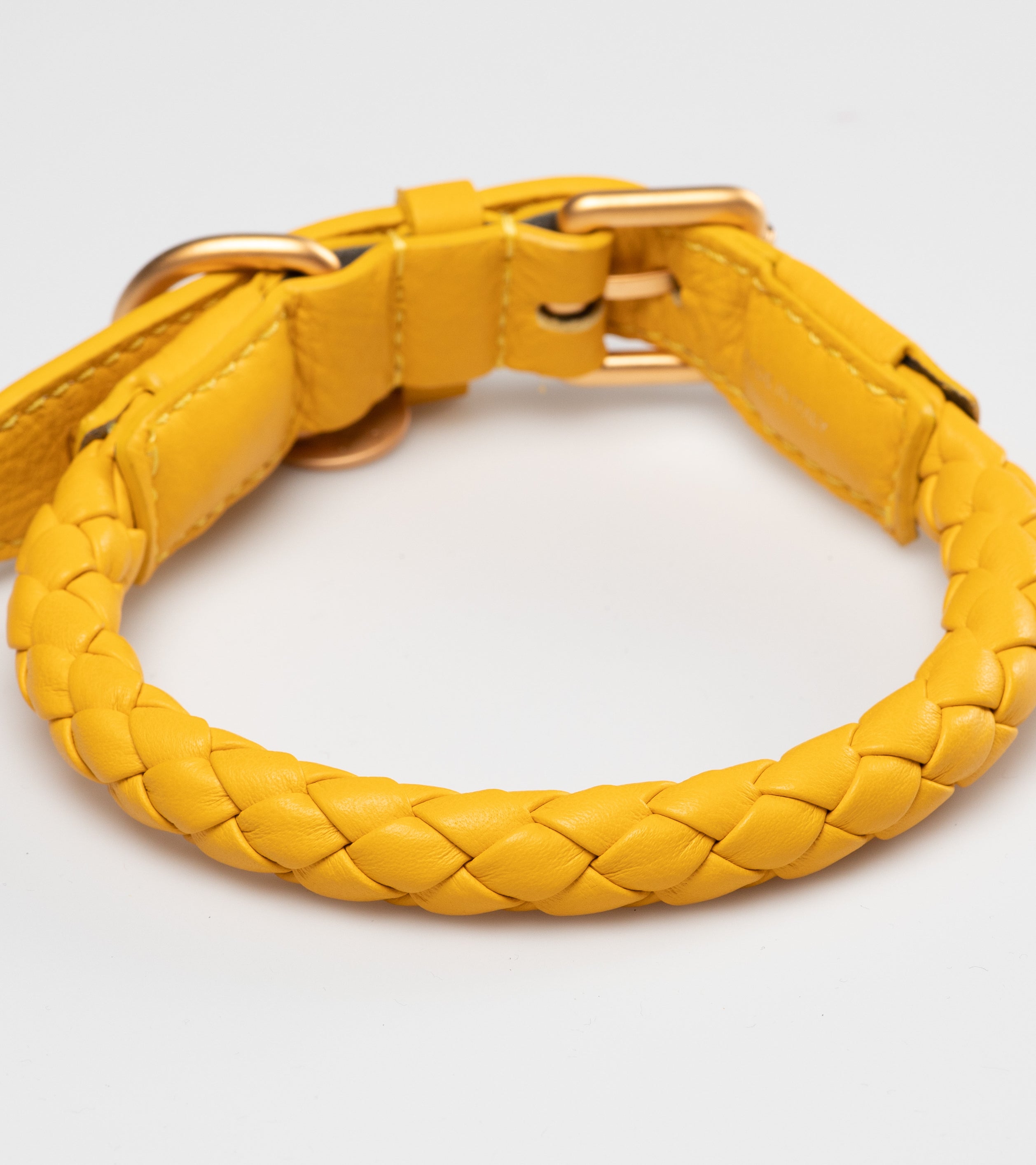 yellow-dog-collar-detail.jpg