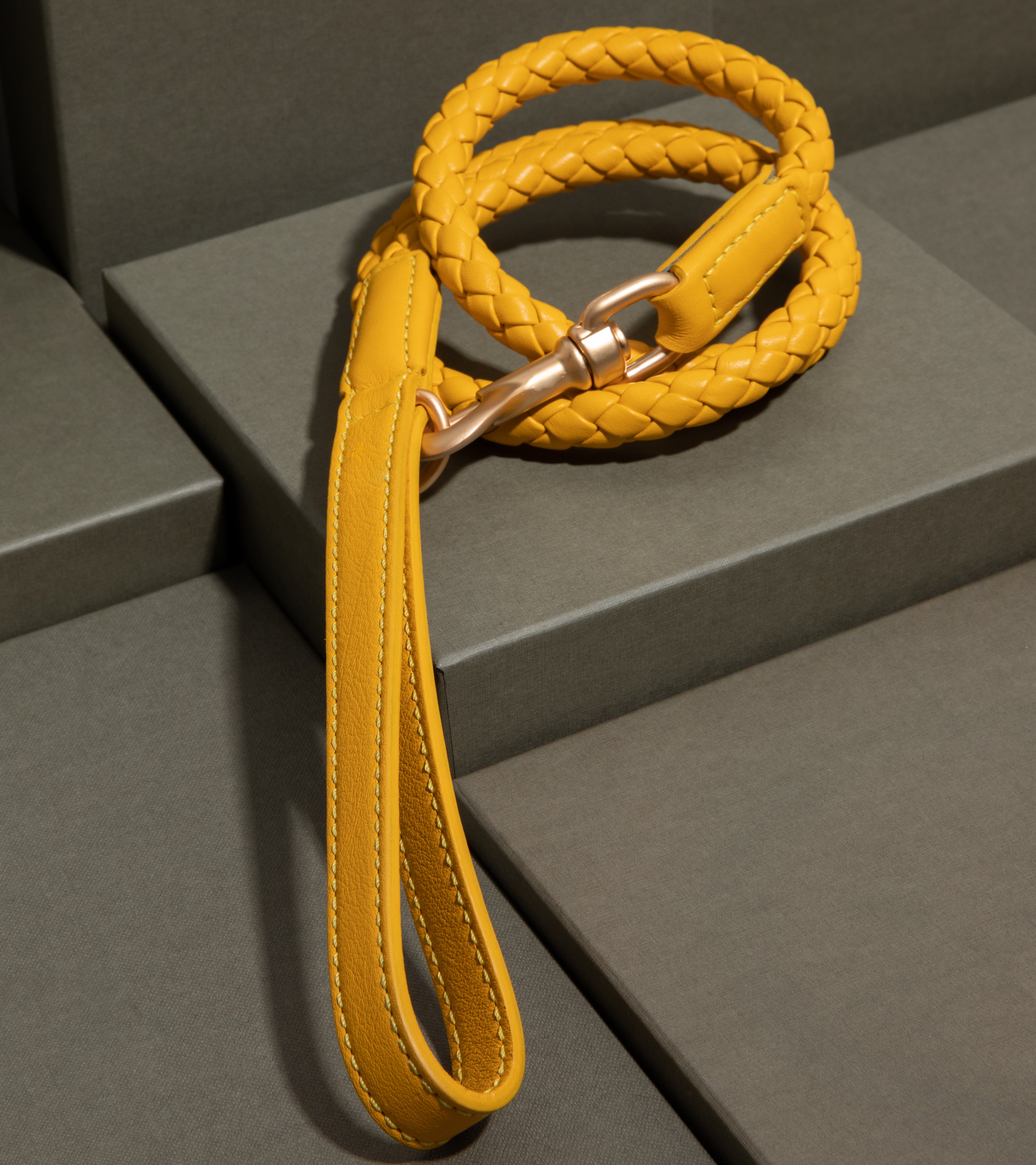 yellow-dog-leash.jpg